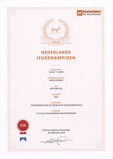 Certificaat Lexus Nederlands Jeugd Kampioen